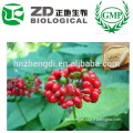 China GMP Manufacturer Ginseng Extract in Herbal Extract for Health Supplement